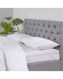 Dreamy Nights All Natural Goose Feather Pillow Pair, White