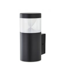 Asher Outdoor Wall Light, Black