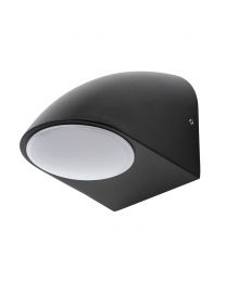 Pavo Outdoor LED Wall Light, Black